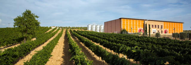 Pagos del Rey Bodega Rueda